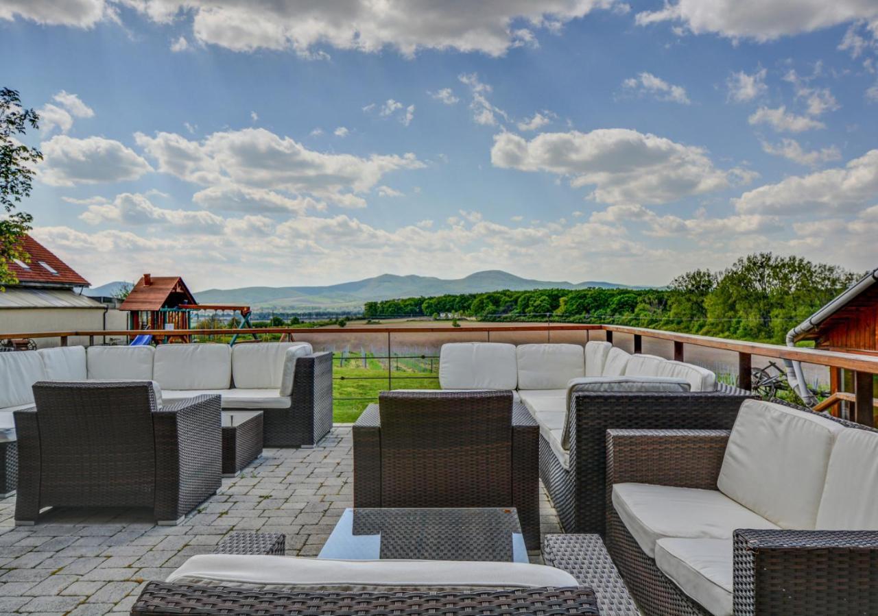 Penzion Tokaj Macik Winery B&B Mala Trna Buitenkant foto
