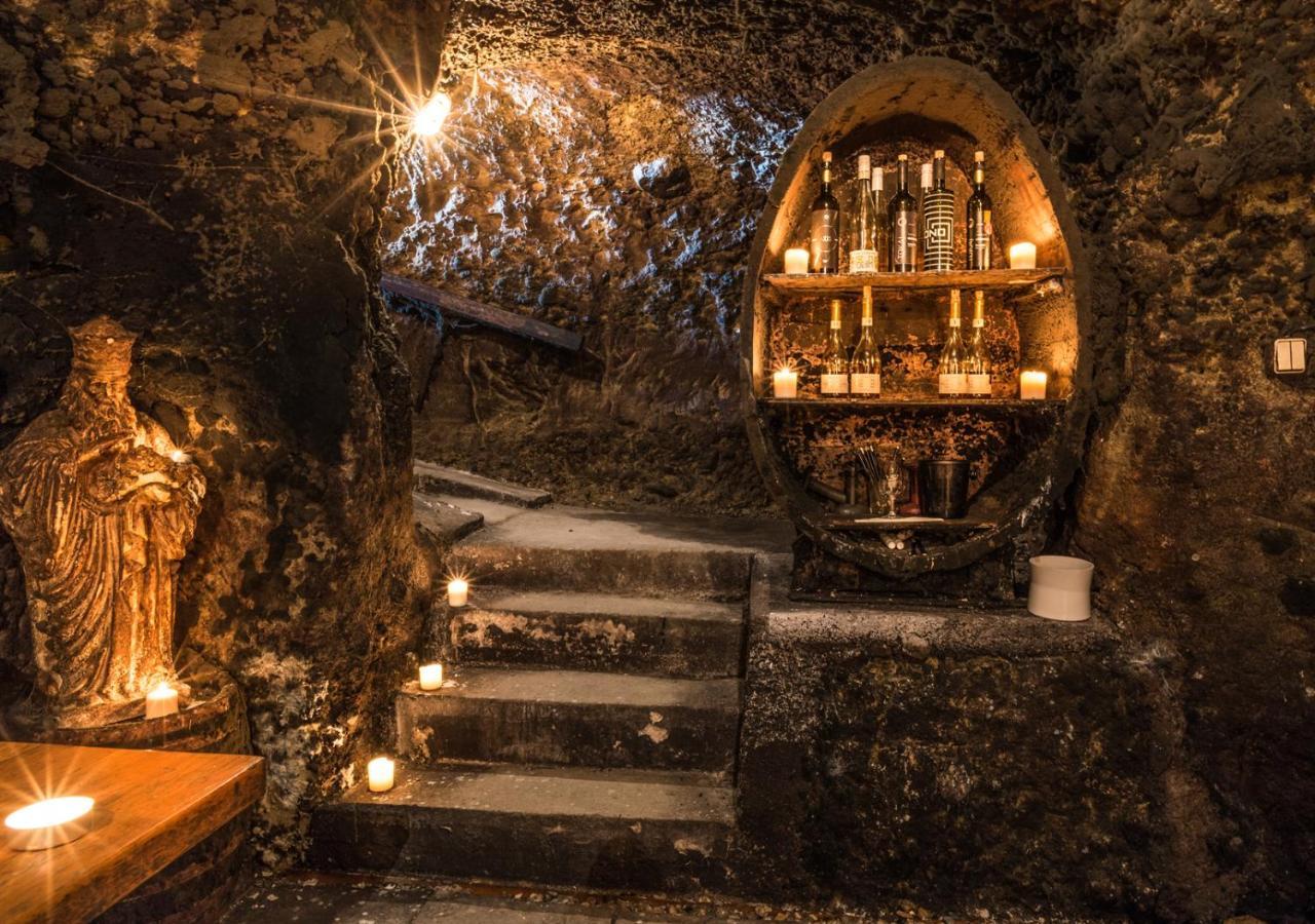 Penzion Tokaj Macik Winery B&B Mala Trna Buitenkant foto
