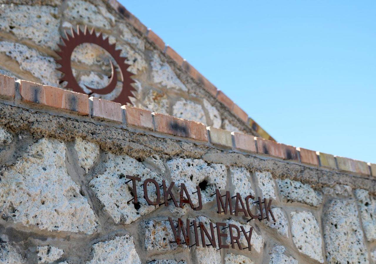 Penzion Tokaj Macik Winery B&B Mala Trna Buitenkant foto