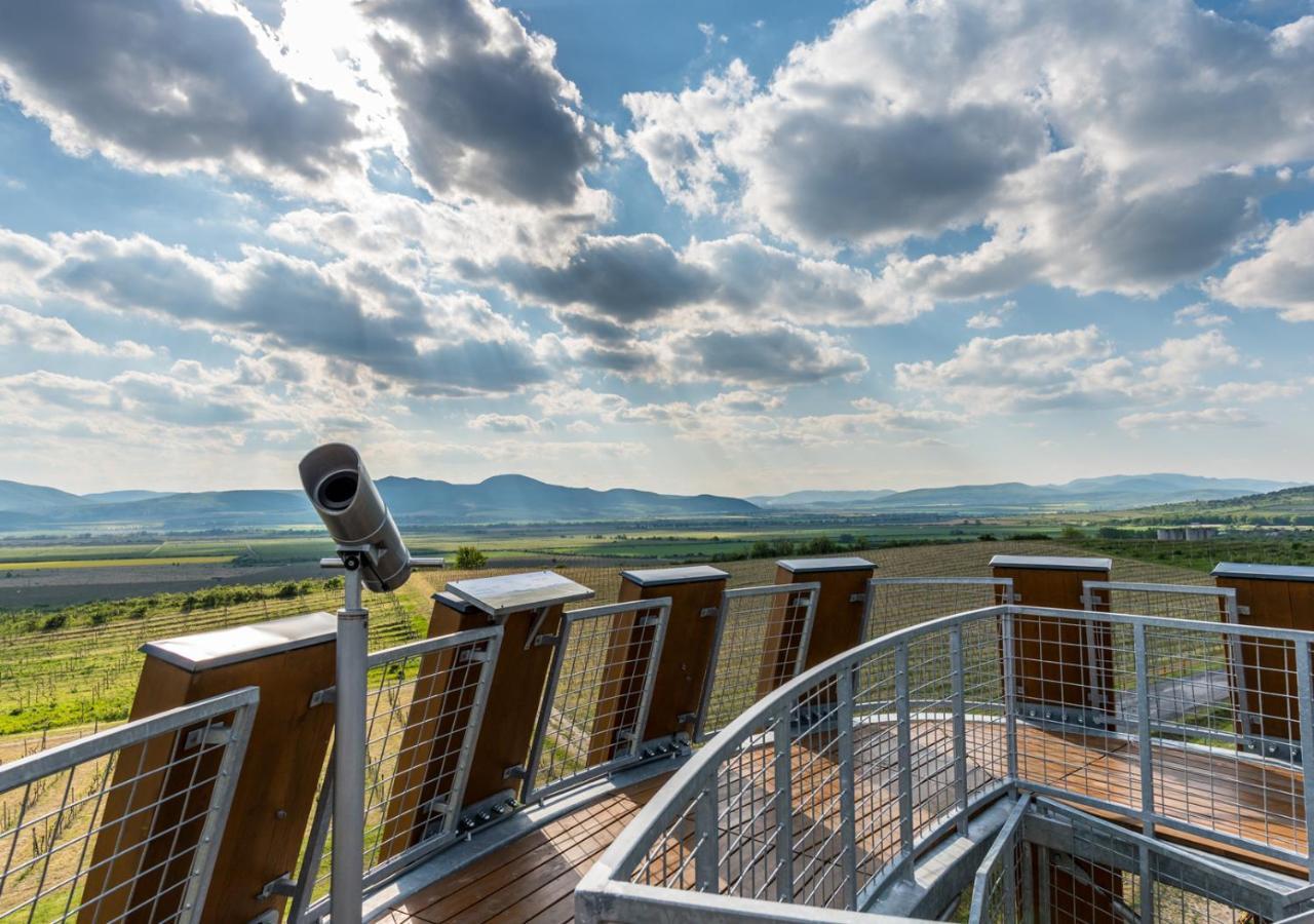 Penzion Tokaj Macik Winery B&B Mala Trna Buitenkant foto