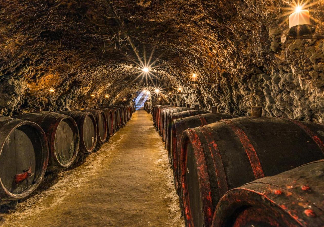 Penzion Tokaj Macik Winery B&B Mala Trna Buitenkant foto